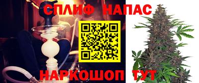 сатива Кандалакша