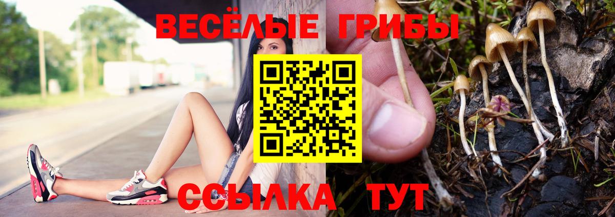 Курчалой  Галлюциногенные грибы ЛСД  Вход с VPN 